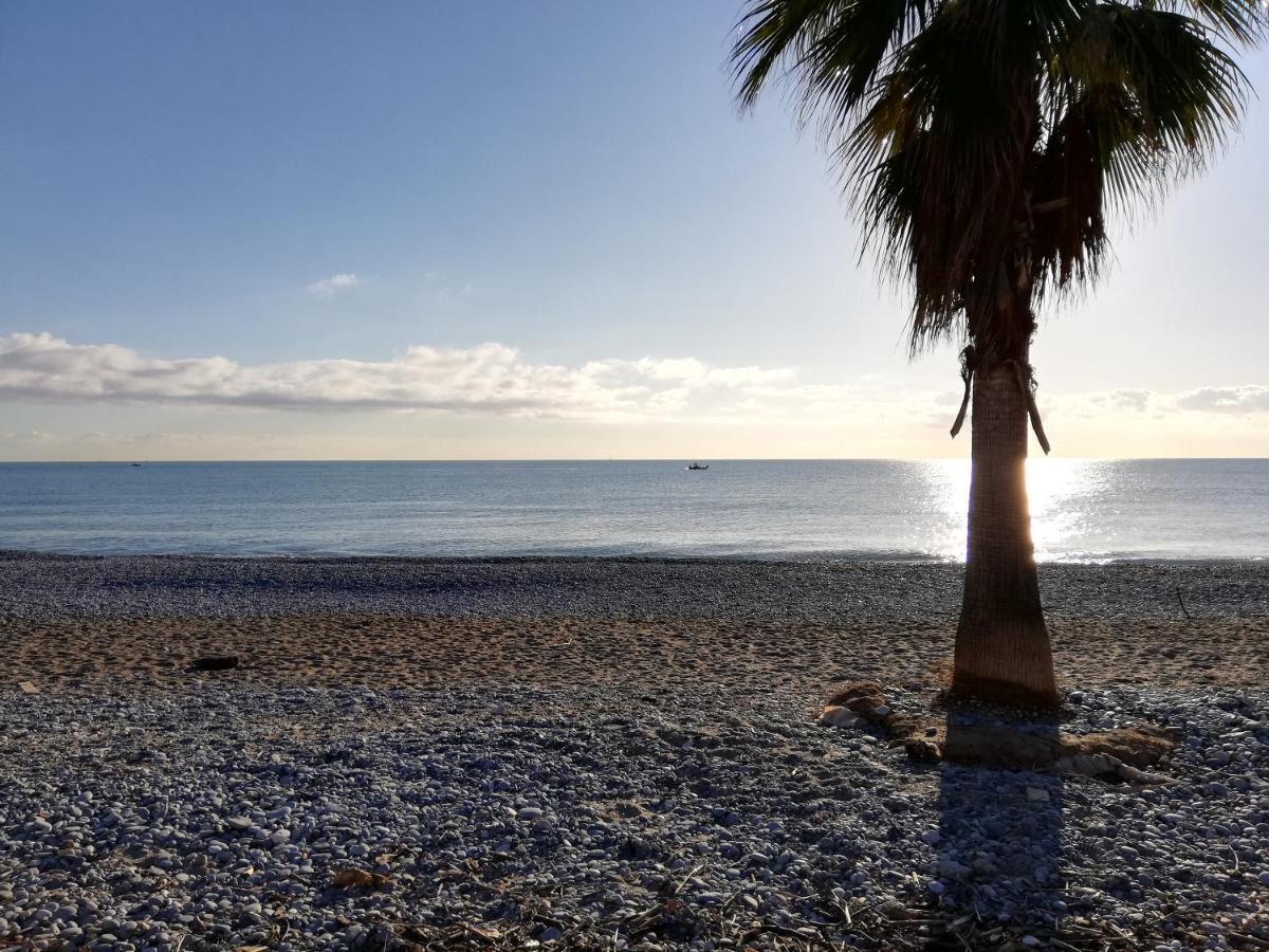 Appartement 2P Et Parking Prive A 50M Des Plages. Villeneuve-Loubet Exterior photo
